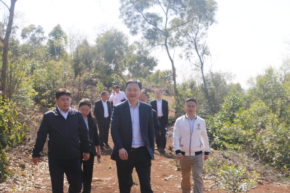 ���Ե���տ����ί�������������ֹ�˾��չ����(ͼ2)